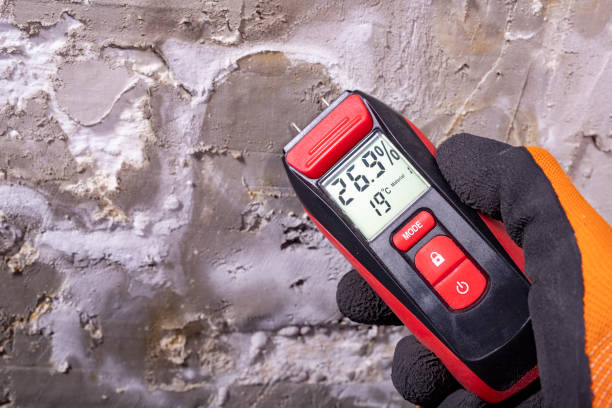 Best Attic Mold Removal  in Garden City, ID