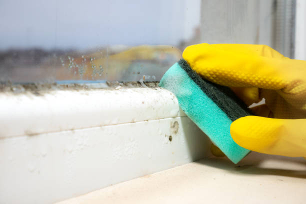 Best Mold Testing  in Garden City, ID